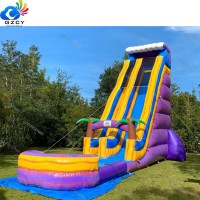 Fun pvc home wet yard inflatable water slide for sale